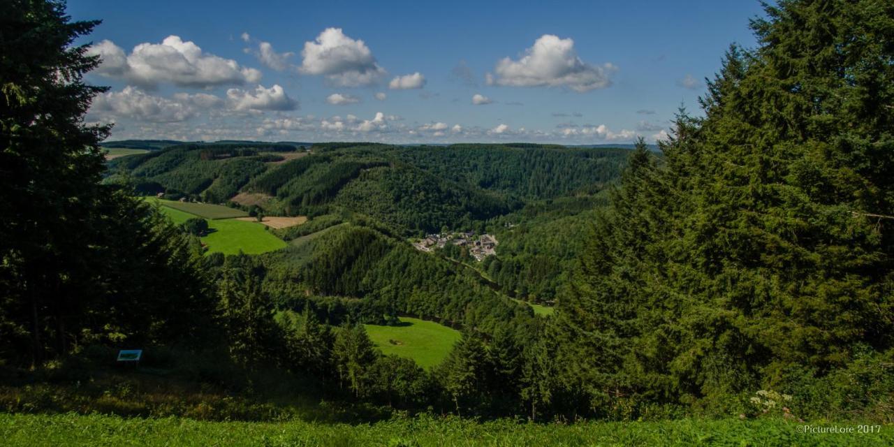 B&B Au Canard La-Roche-en-Ardenne Εξωτερικό φωτογραφία