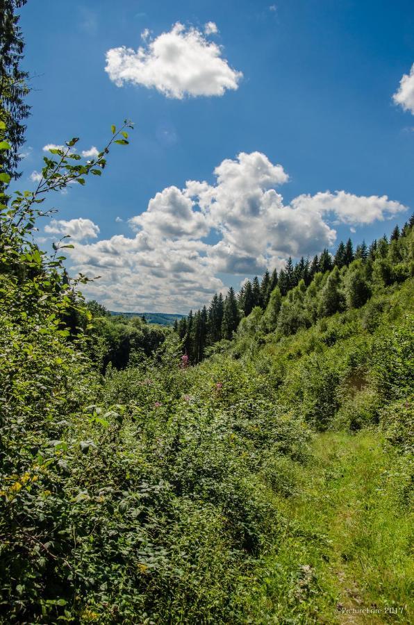 B&B Au Canard La-Roche-en-Ardenne Εξωτερικό φωτογραφία